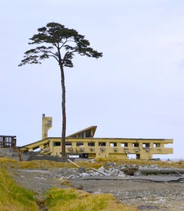 Collapsed_Rikuzentakata_Youth_Hostel_and_a_Pine_Tree_of_Hope